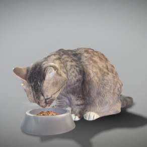 现代猫3D模型下载